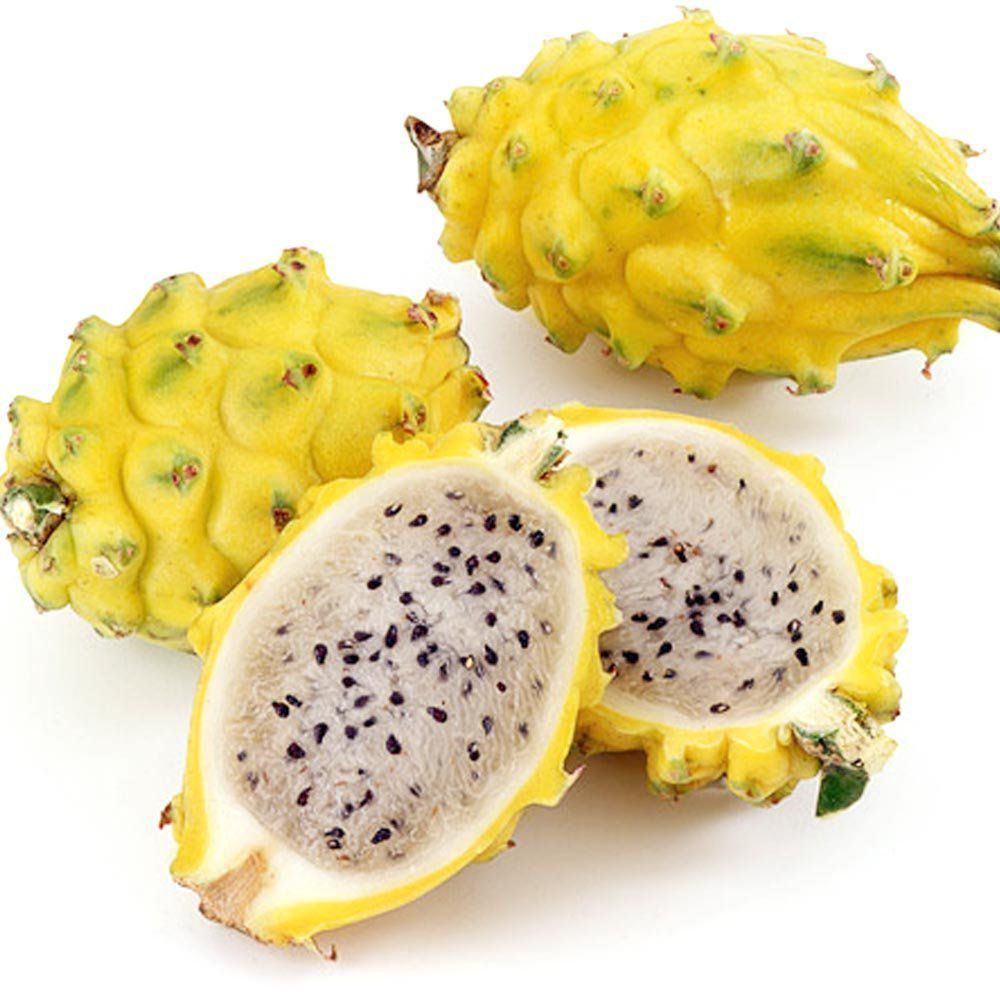 diferença pitaya amarela e vermelha