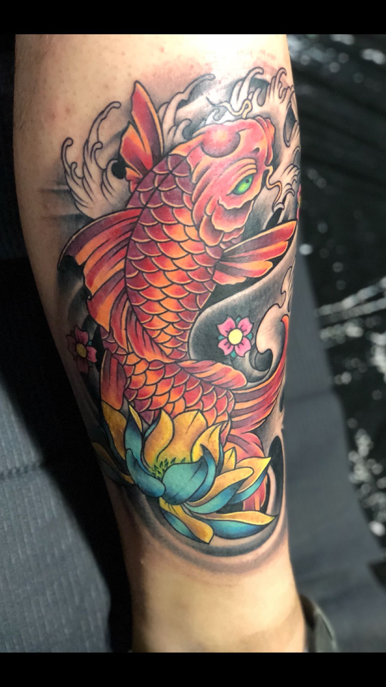 significado tatuagem koi