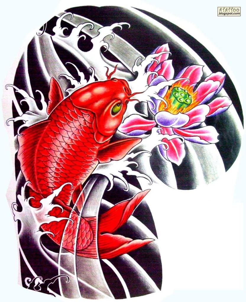 significado tatuagem koi