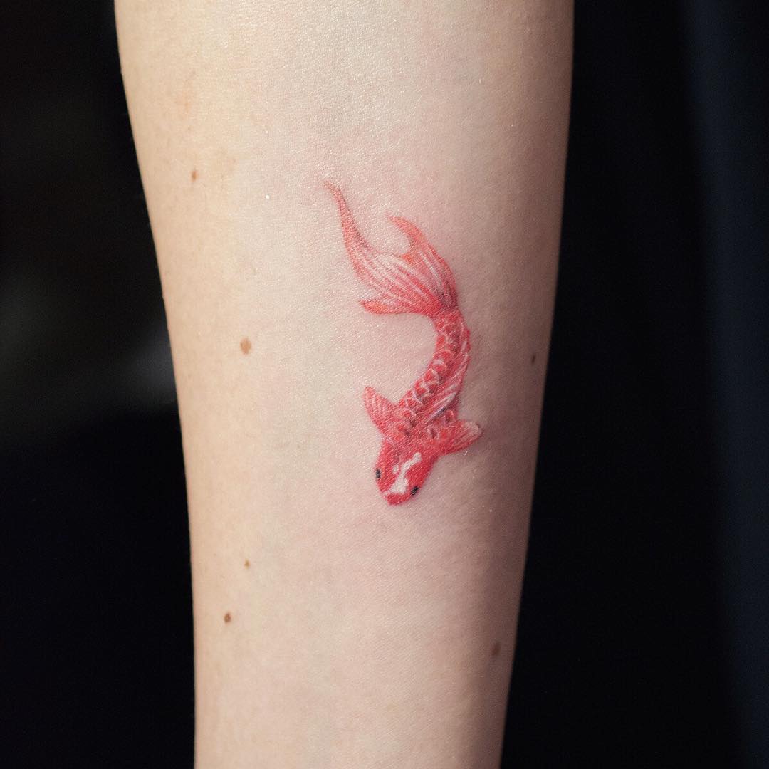 tatuagem carpa oriental