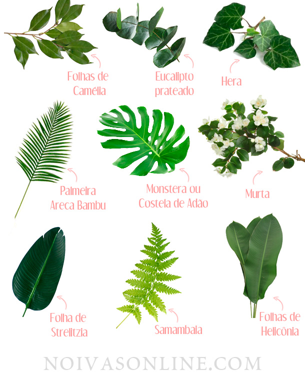 melhores folhagens para arranjos