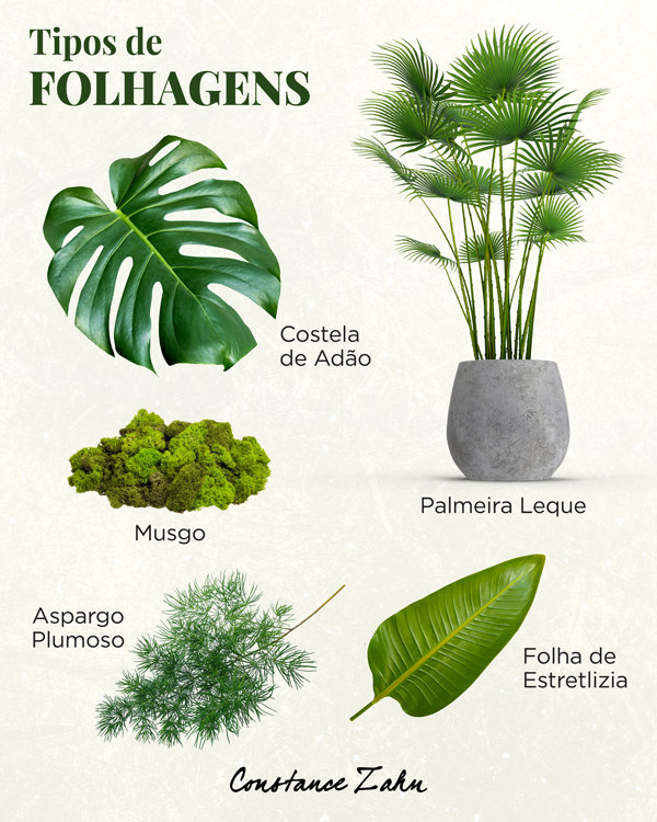 folhagens secas para arranjos