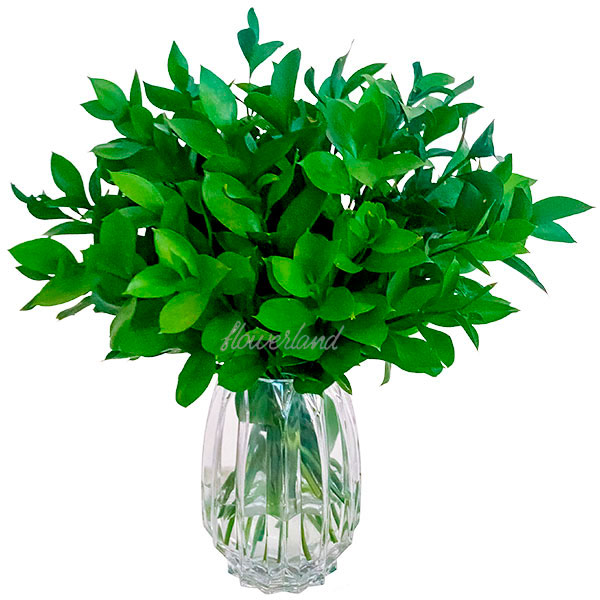 folhagens para arranjos de casamento