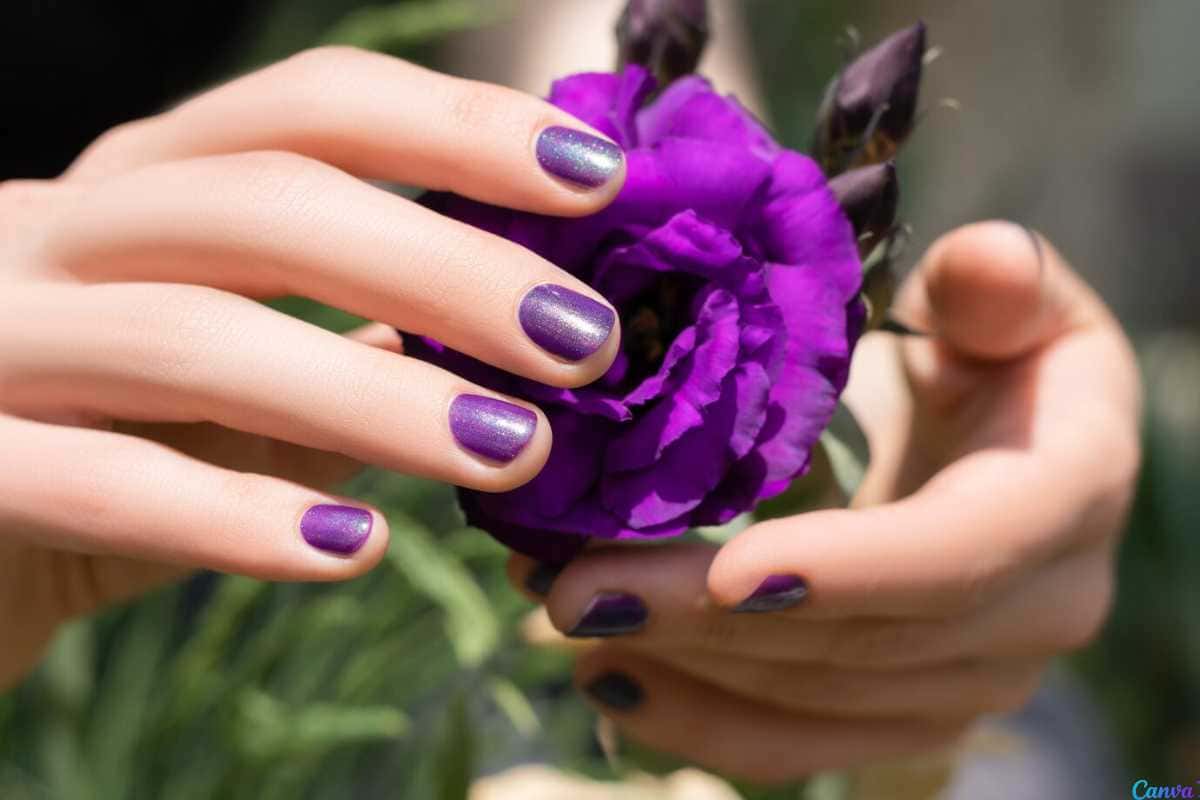 unhas chiques e elegantes simples