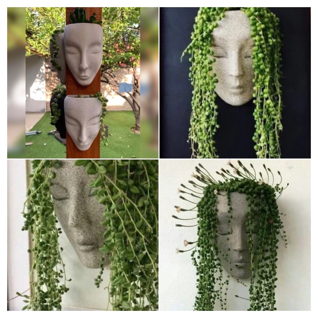 vaso floreira com drenagem