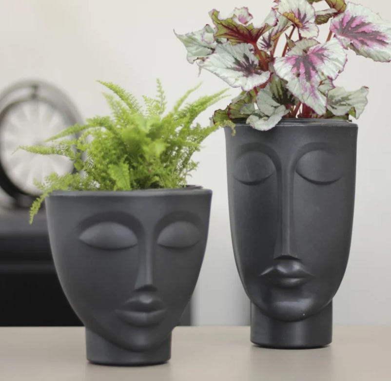 vaso comprido para plantas