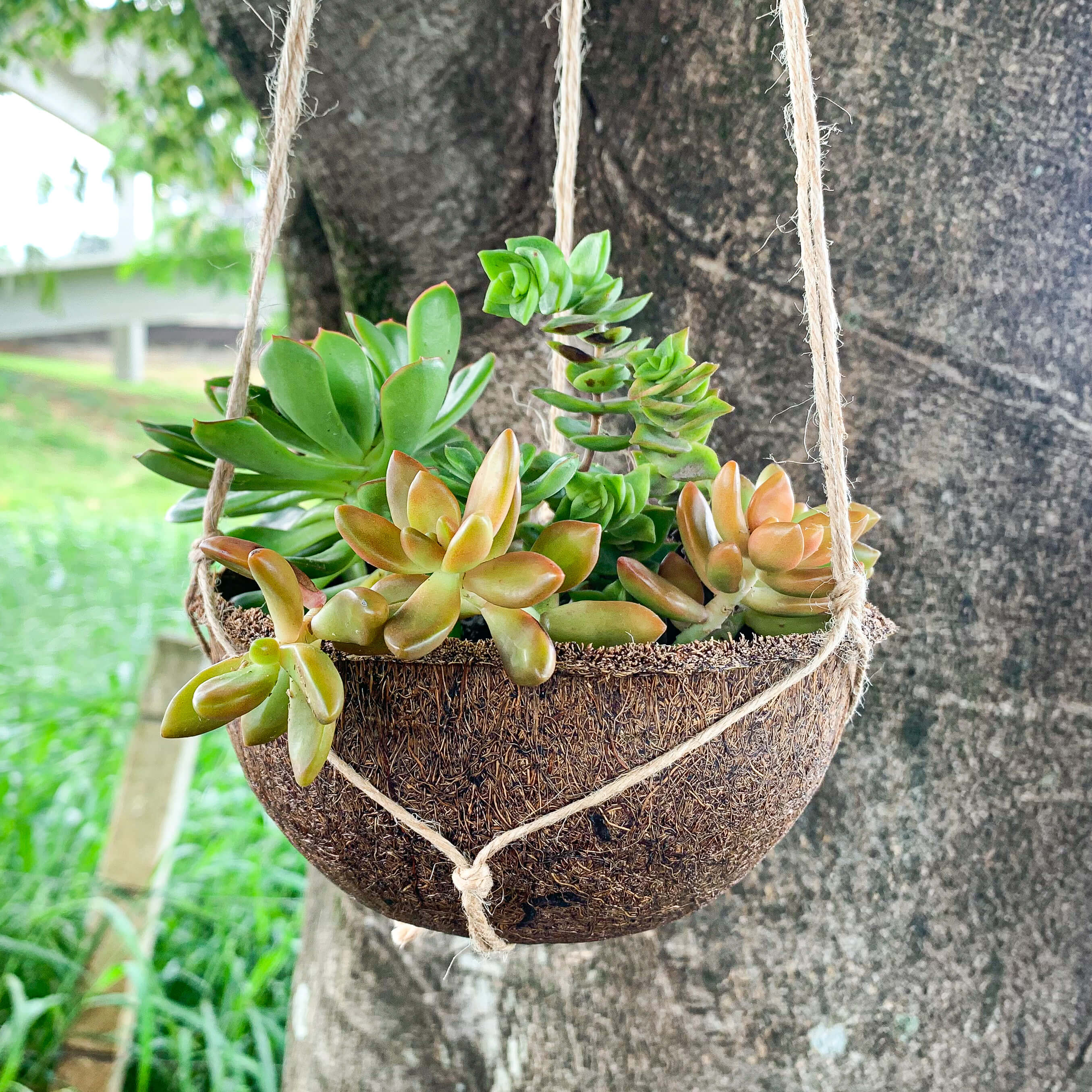 vaso sanitário com caixa acoplada embutida