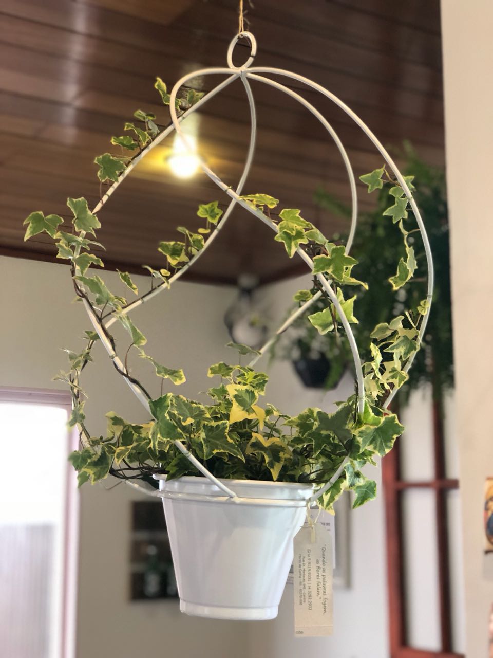vaso para apartamento pequeno